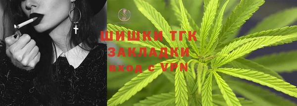 крисы Бородино