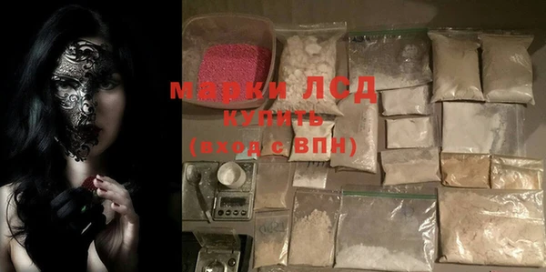 крисы Бородино