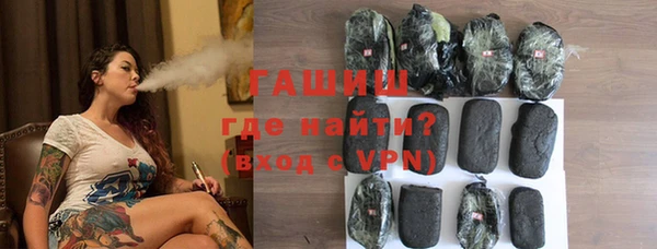 крисы Бородино