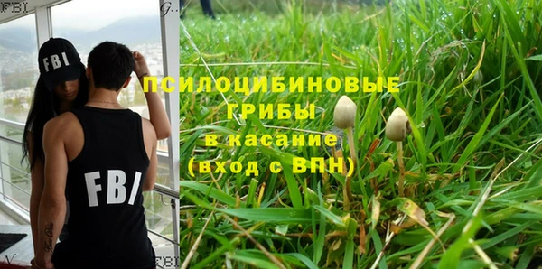 apvp Бугульма