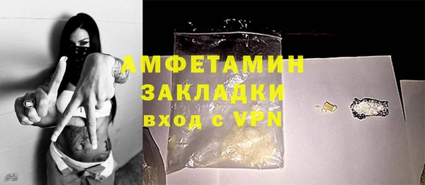 крисы Бородино
