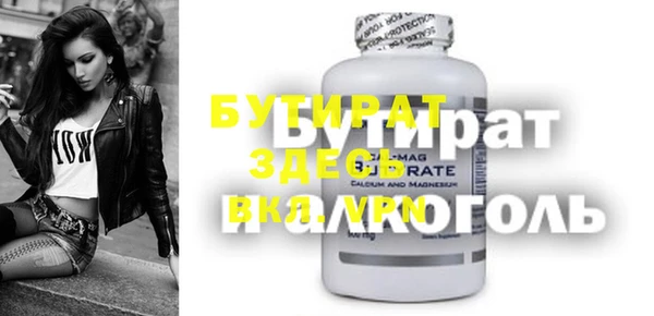 крисы Бородино