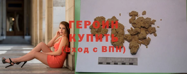 крисы Бородино