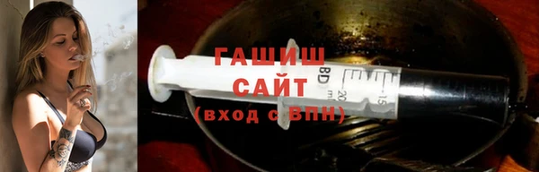 крисы Бородино