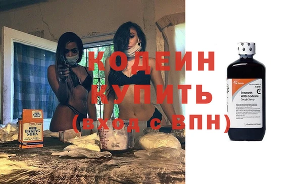 крисы Бородино