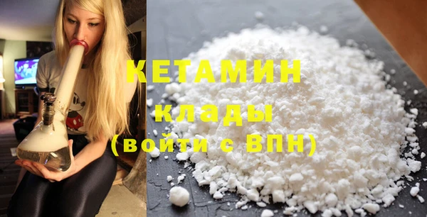 крисы Бородино