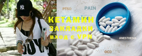 крисы Бородино