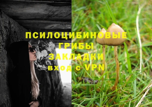 крисы Бородино