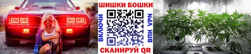 Бошки марихуана семена  блэк спрут зеркало  Владимир 